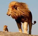 Father's Day: Fathers in Fiction